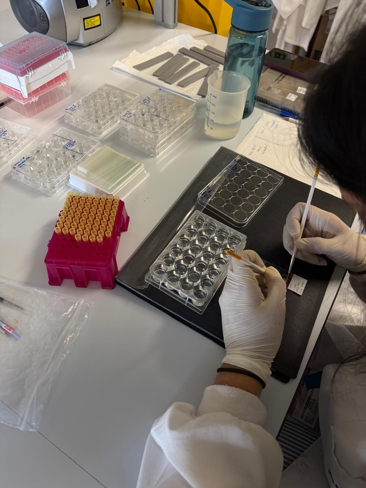 Handling cell culture plates